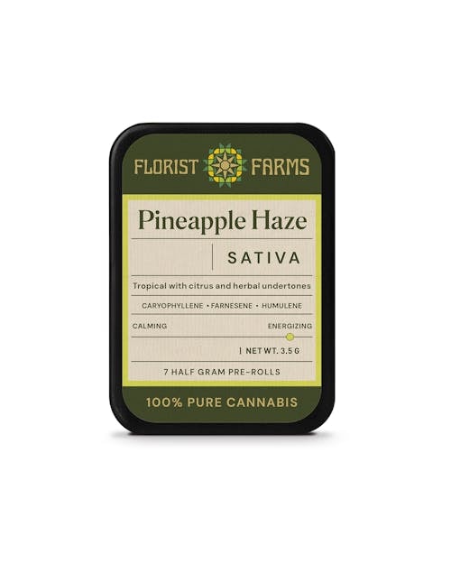 PINEAPPLE HAZE | 7-Pack - Florist Farms