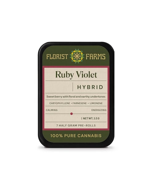 RUBY VIOLET | 7-Pack - Florist Farms