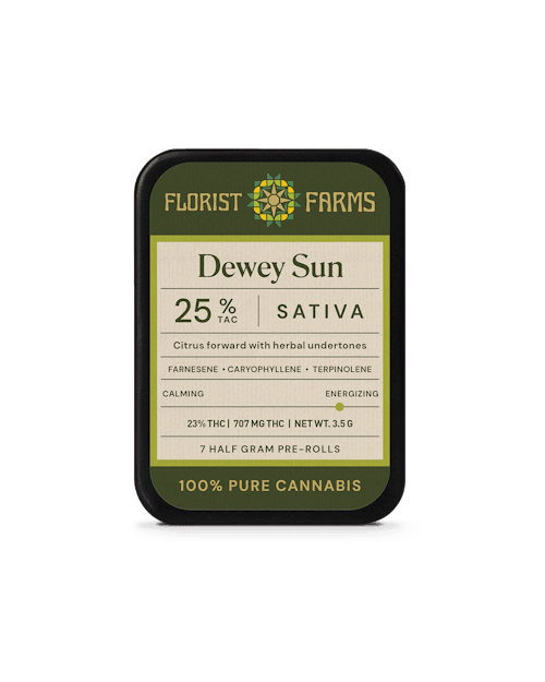 DEWEY SUN | 7-Pack - Florist Farms